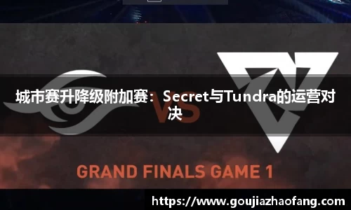 城市赛升降级附加赛：Secret与Tundra的运营对决