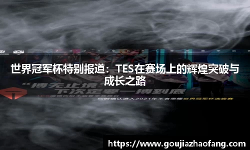 世界冠军杯特别报道：TES在赛场上的辉煌突破与成长之路