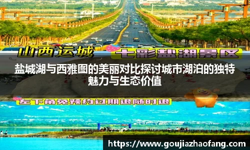 盐城湖与西雅图的美丽对比探讨城市湖泊的独特魅力与生态价值